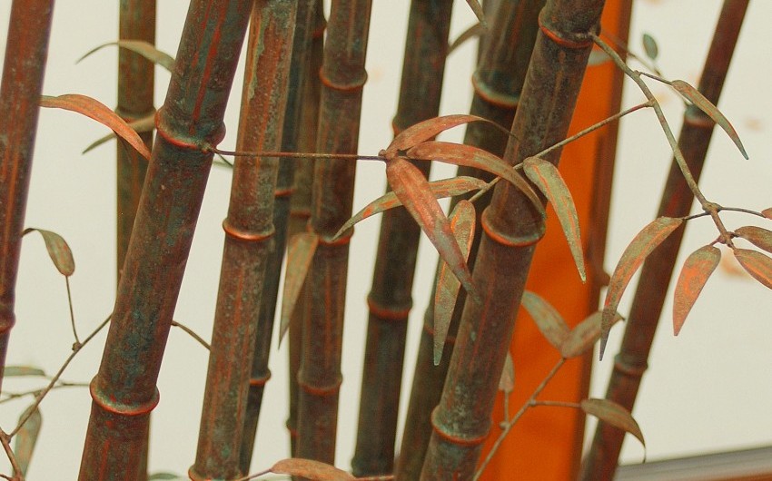 Bamboo Iron Close Up