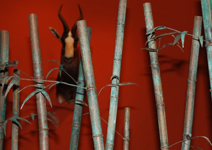 Bamboo Close Up