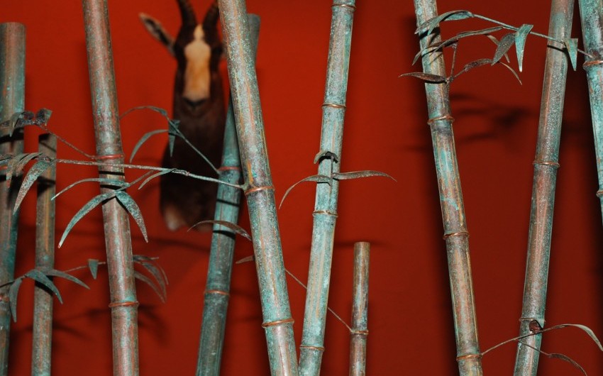 Bamboo Close Up