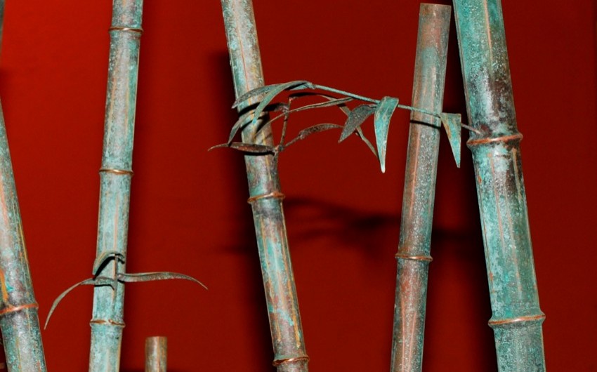 Bamboo Close Up