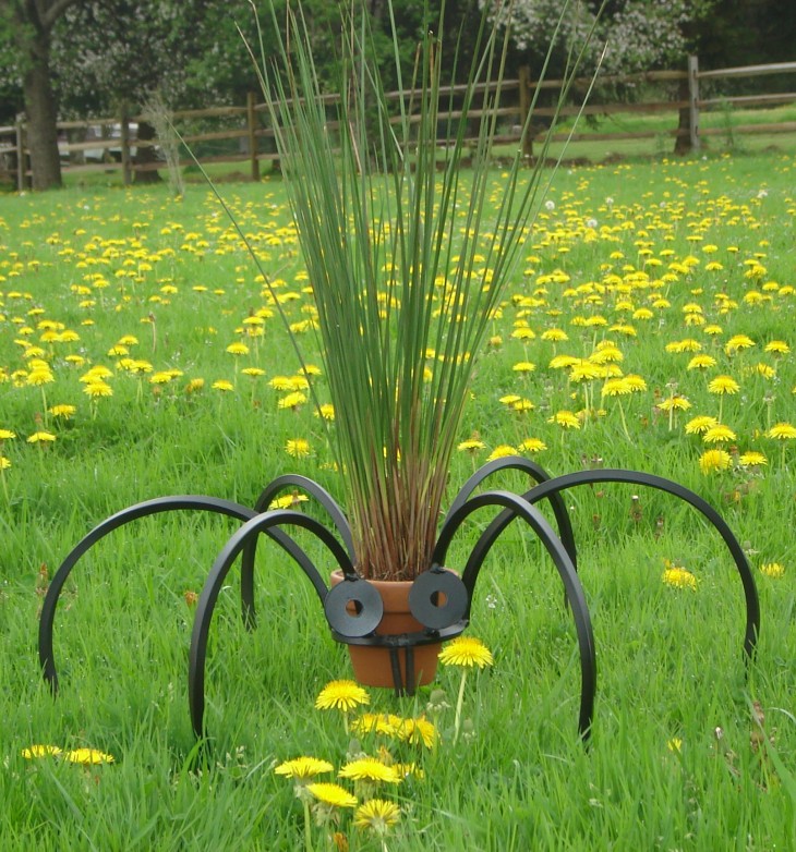 Garden Insect