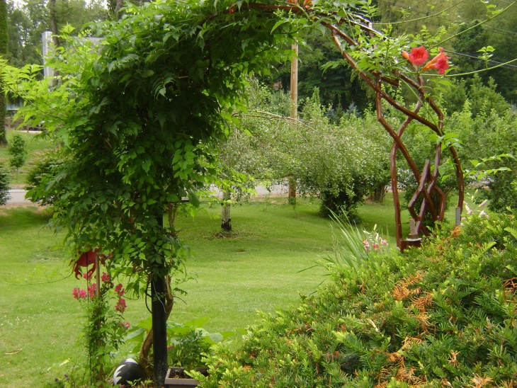 Garden Arch