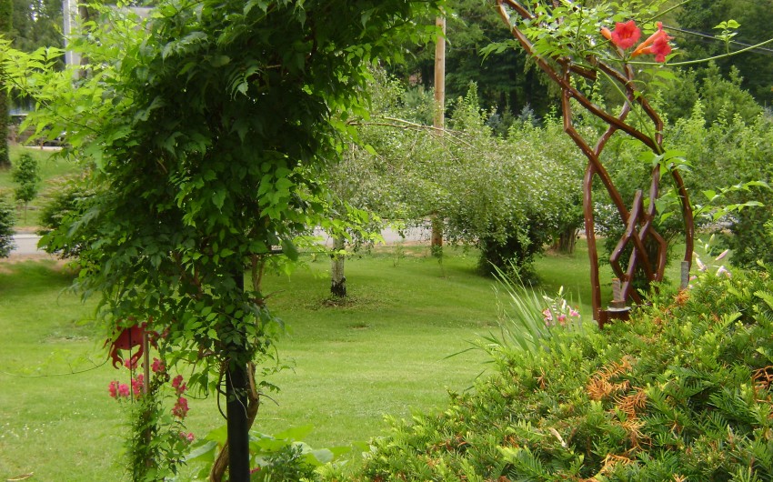 Garden Arch