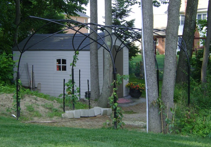 Arch Through the Trees