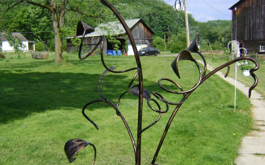 Wine Rack