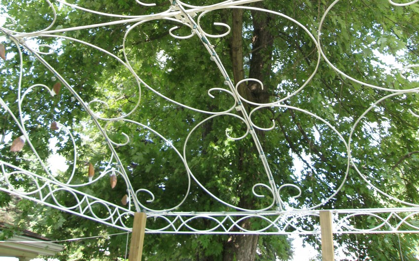 Pink Flower Pergola