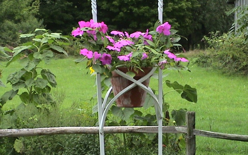 Tall Pot Holder Close Up