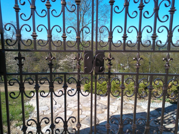Decorative Gate
